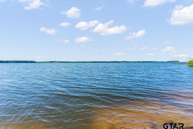 263 Crestwood Loop, Avinger, TX 75630