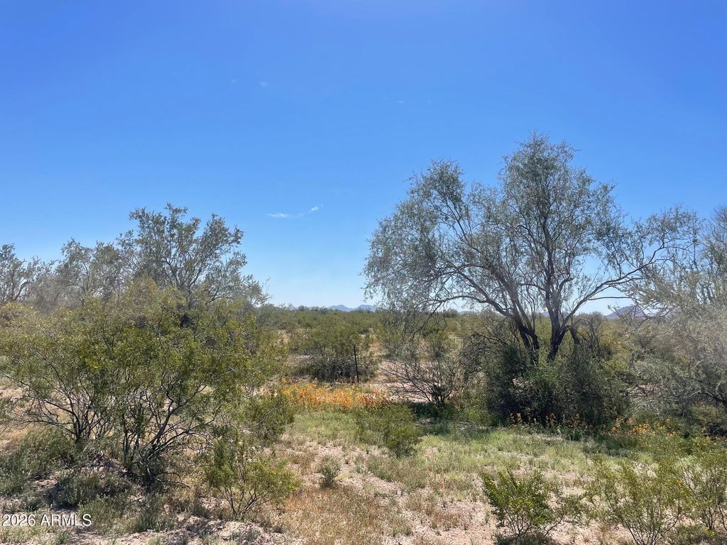 0 Connelley Road -, Stanfield, AZ 85172 — photo 5
