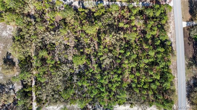4839 W Mustang Boulevard, Beverly Hills, FL 34465