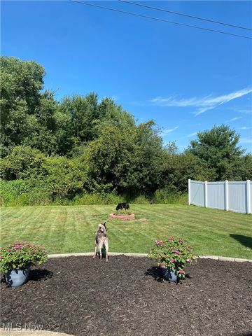 897 Norwegian Wood Drive, Medina, OH 44256