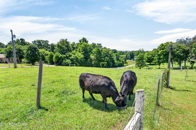 105 Foothills Rd, Pikeville, TN 37367