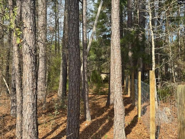 901 Old Bluff Road, Hopkins, SC 29061