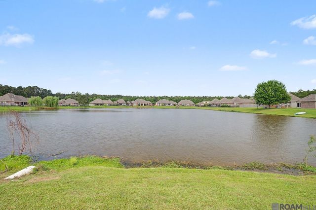 30969 Concord Dr, Walker, LA 70785