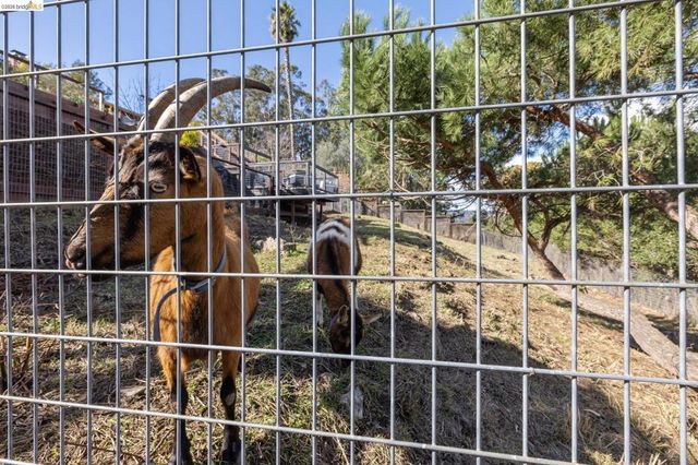 4450 4450 Turner Ave, Oakland, CA 94605