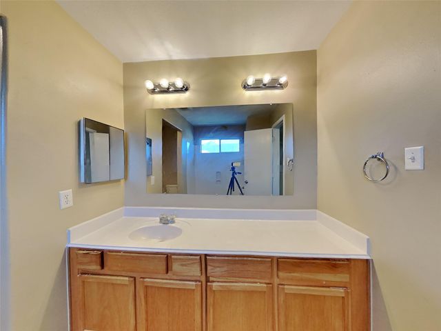 14231 Bonham Oaks Lane, Houston, TX 77047