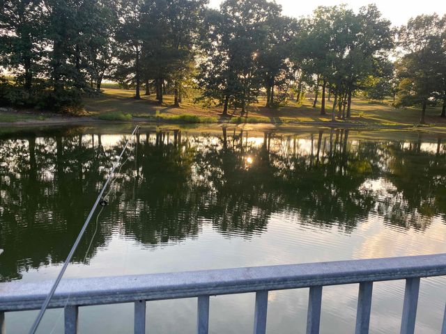 695 MIDDLEBURG RD, Hickory Valley, TN 38042