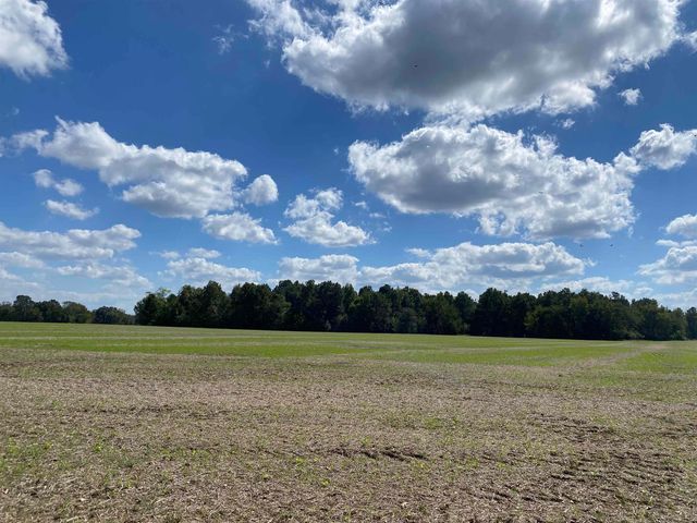 695 MIDDLEBURG RD, Hickory Valley, TN 38042