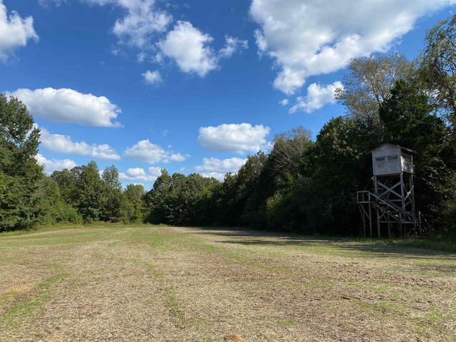 695 MIDDLEBURG RD, Hickory Valley, TN 38042