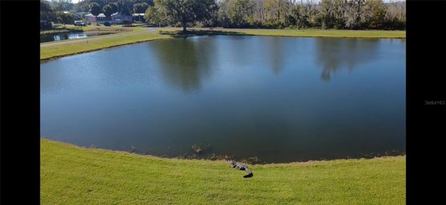 116 LYONIA LANE, Wildwood, FL 34785