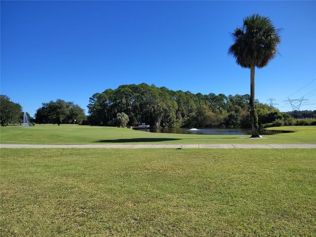 116 LYONIA LANE, Wildwood, FL 34785