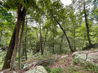 0 Pine Shadow Lane, Landrum, SC 29356
