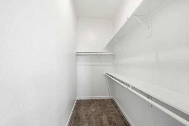 21303 Shore Arbor Lane, Cypress, TX 77433