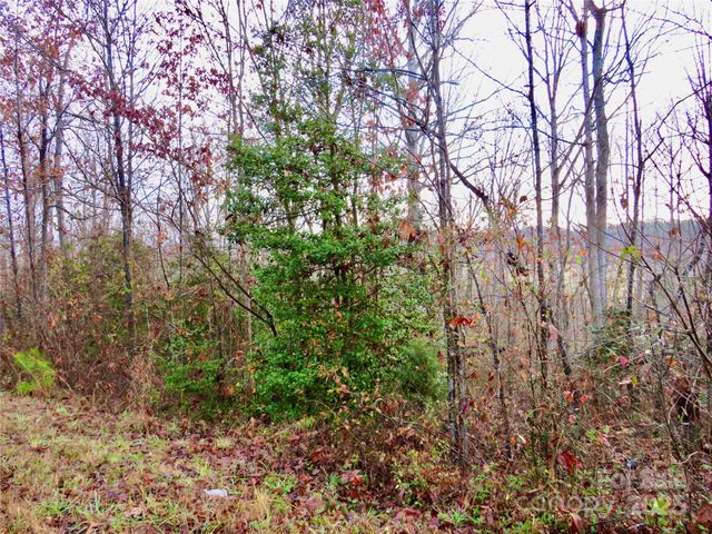 0 Henson Road, Forest City, NC 28043