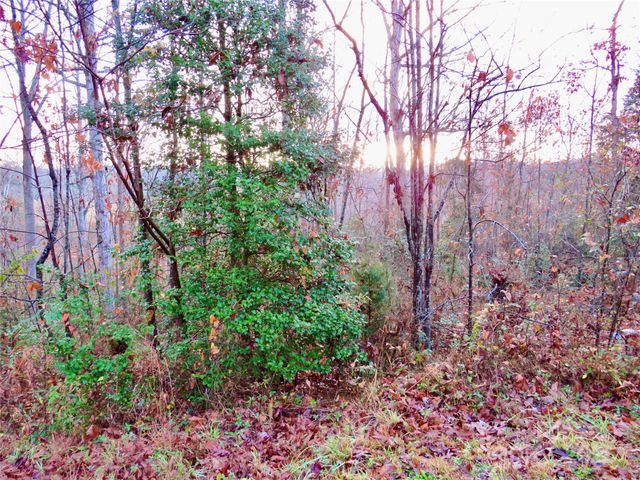 0 Henson Road, Forest City, NC 28043