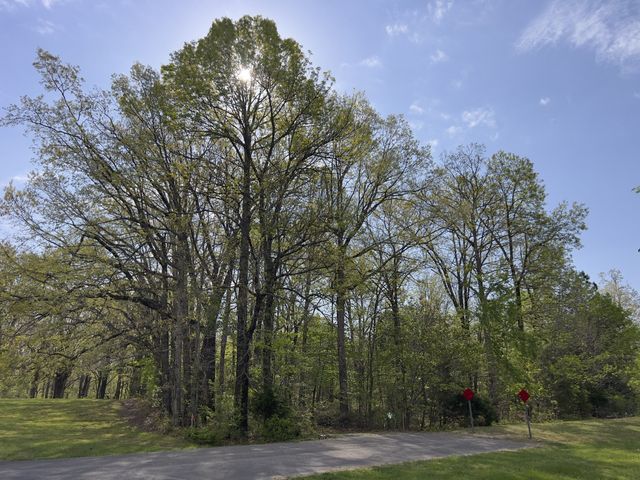 0 Valley Road, Fairview, TN 37062