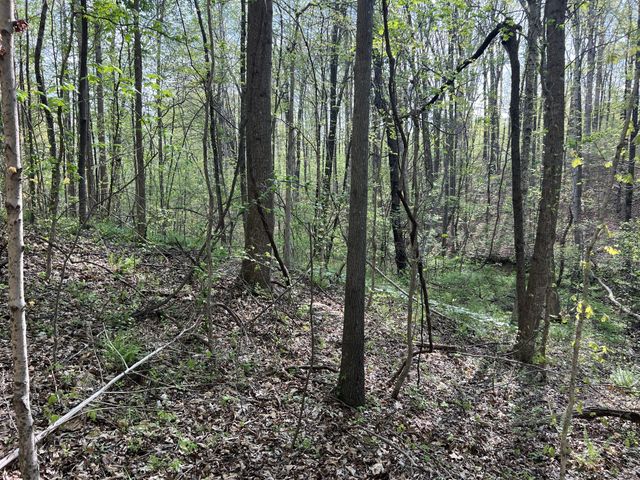 0 Valley Road, Fairview, TN 37062