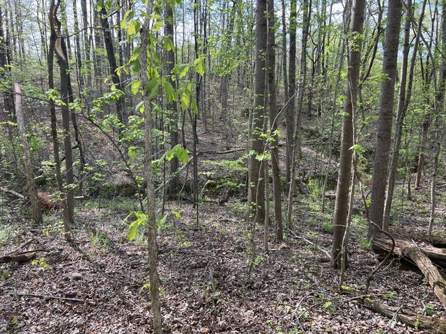0 Valley Road, Fairview, TN 37062