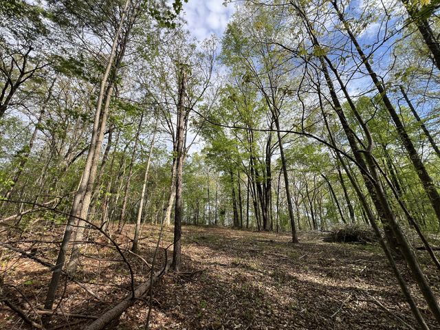 0 Valley Road, Fairview, TN 37062