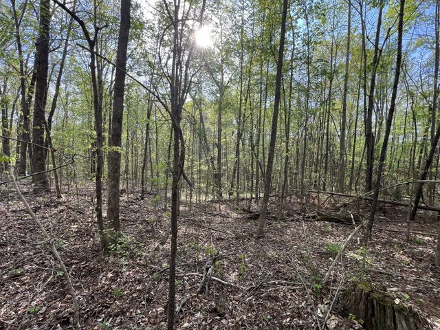 0 Valley Road, Fairview, TN 37062