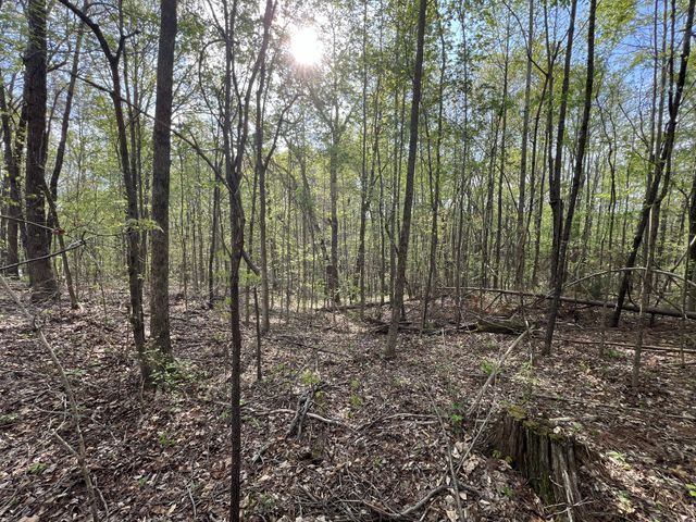 0 Valley Road, Fairview, TN 37062