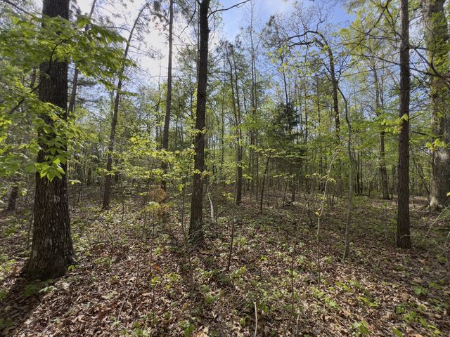 0 Valley Road, Fairview, TN 37062