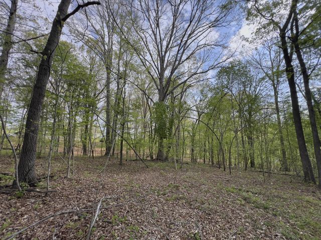 0 Valley Road, Fairview, TN 37062