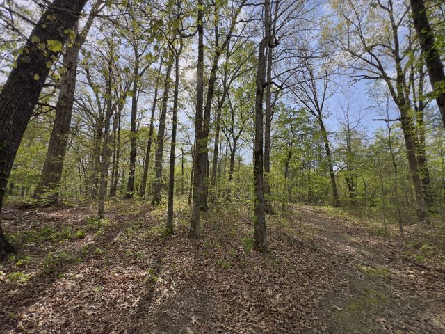 0 Valley Road, Fairview, TN 37062
