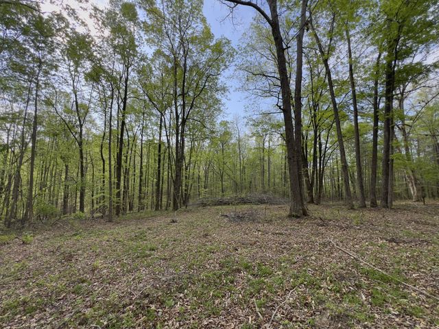 0 Valley Road, Fairview, TN 37062