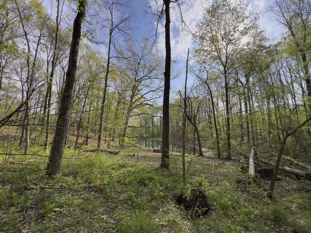 0 Valley Road, Fairview, TN 37062