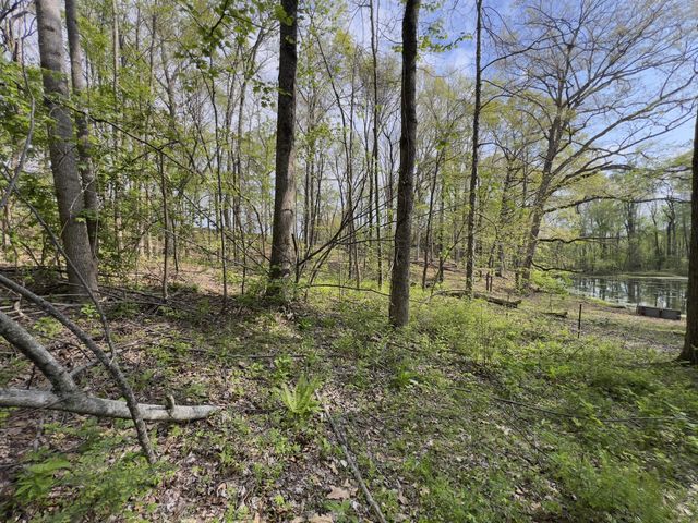 0 Valley Road, Fairview, TN 37062