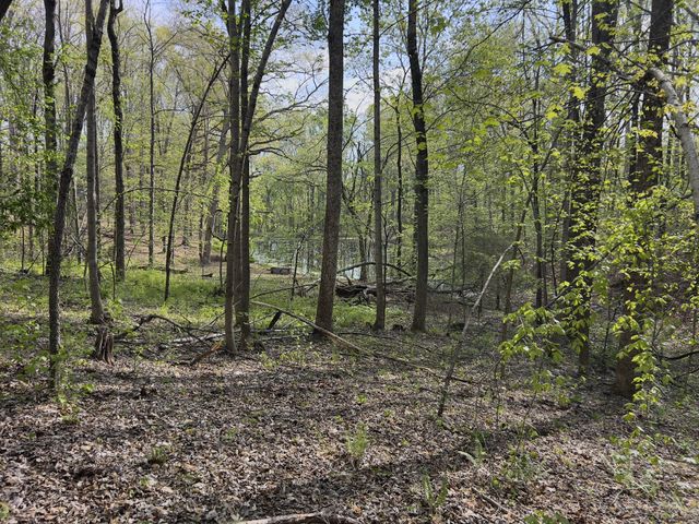 0 Valley Road, Fairview, TN 37062