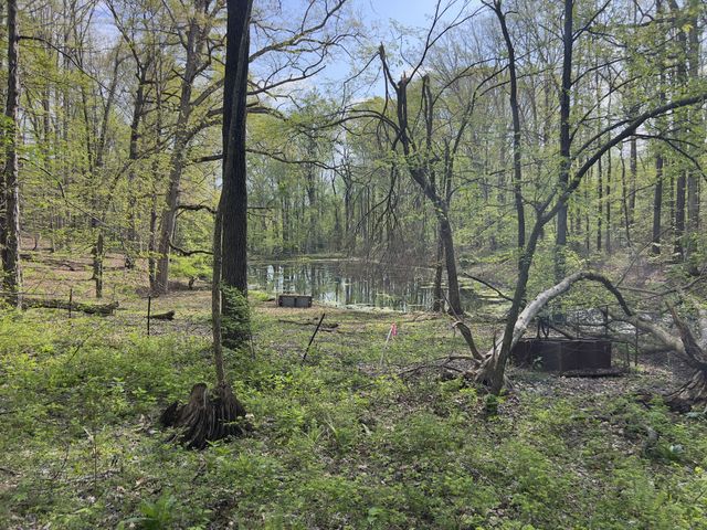 0 Valley Road, Fairview, TN 37062