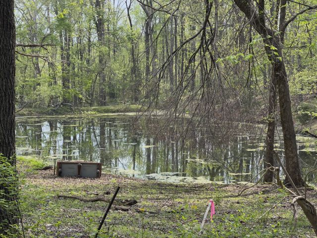 0 Valley Road, Fairview, TN 37062