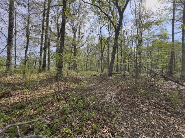 0 Valley Road, Fairview, TN 37062