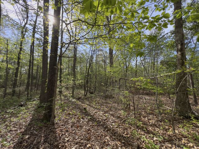 0 Valley Road, Fairview, TN 37062