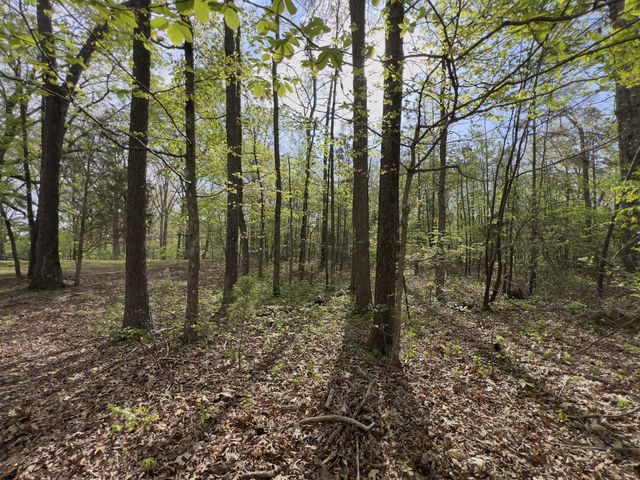 0 Valley Road, Fairview, TN 37062