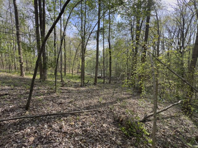 0 Valley Road, Fairview, TN 37062