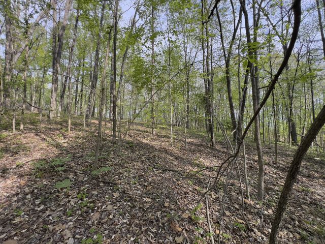 0 Valley Road, Fairview, TN 37062