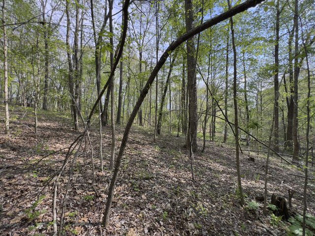 0 Valley Road, Fairview, TN 37062