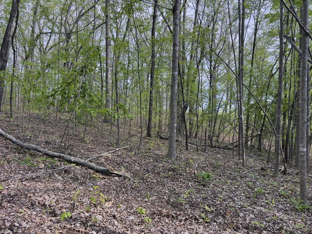0 Valley Road, Fairview, TN 37062