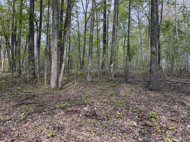 0 Valley Road, Fairview, TN 37062