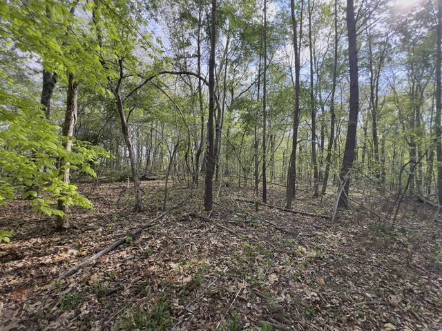 0 Valley Road, Fairview, TN 37062
