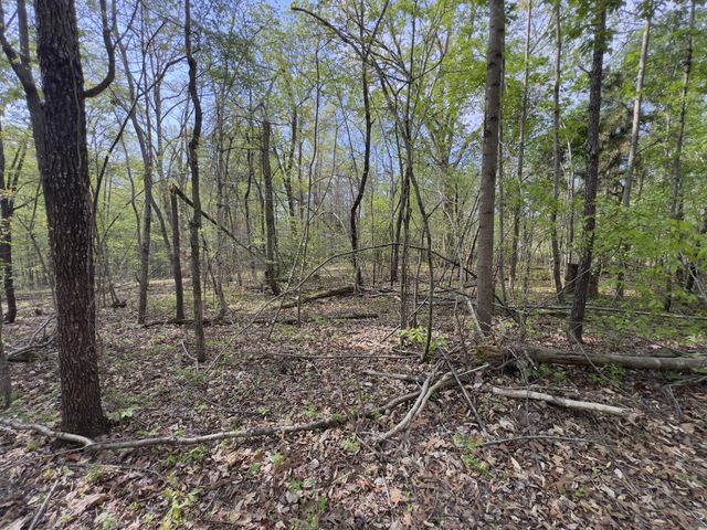 0 Valley Road, Fairview, TN 37062