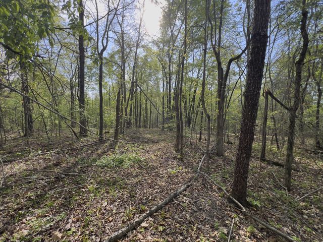 0 Valley Road, Fairview, TN 37062