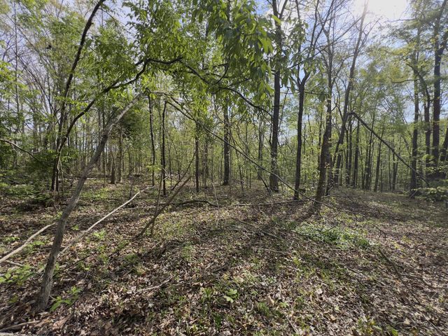 0 Valley Road, Fairview, TN 37062