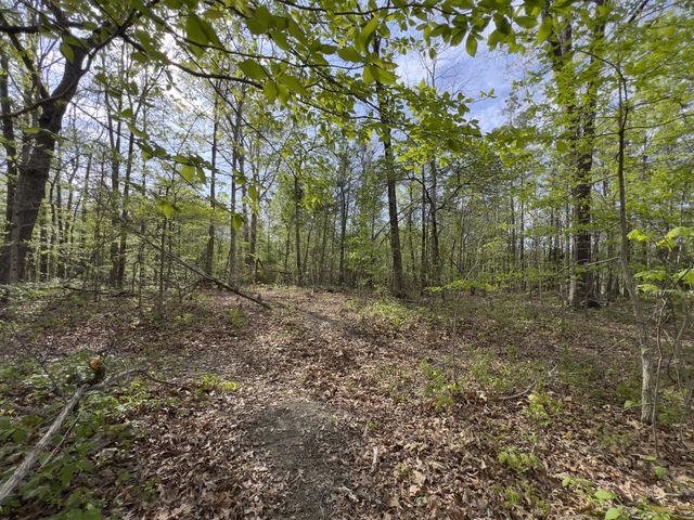0 Valley Road, Fairview, TN 37062