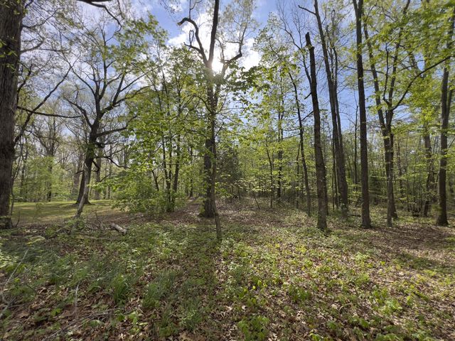 0 Valley Road, Fairview, TN 37062