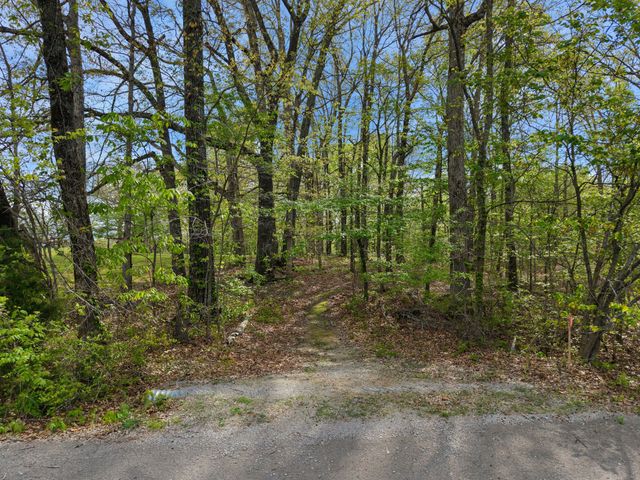 0 Valley Road, Fairview, TN 37062