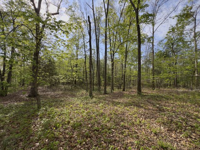0 Valley Road, Fairview, TN 37062