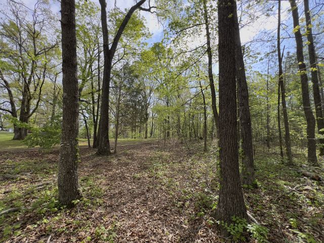 0 Valley Road, Fairview, TN 37062